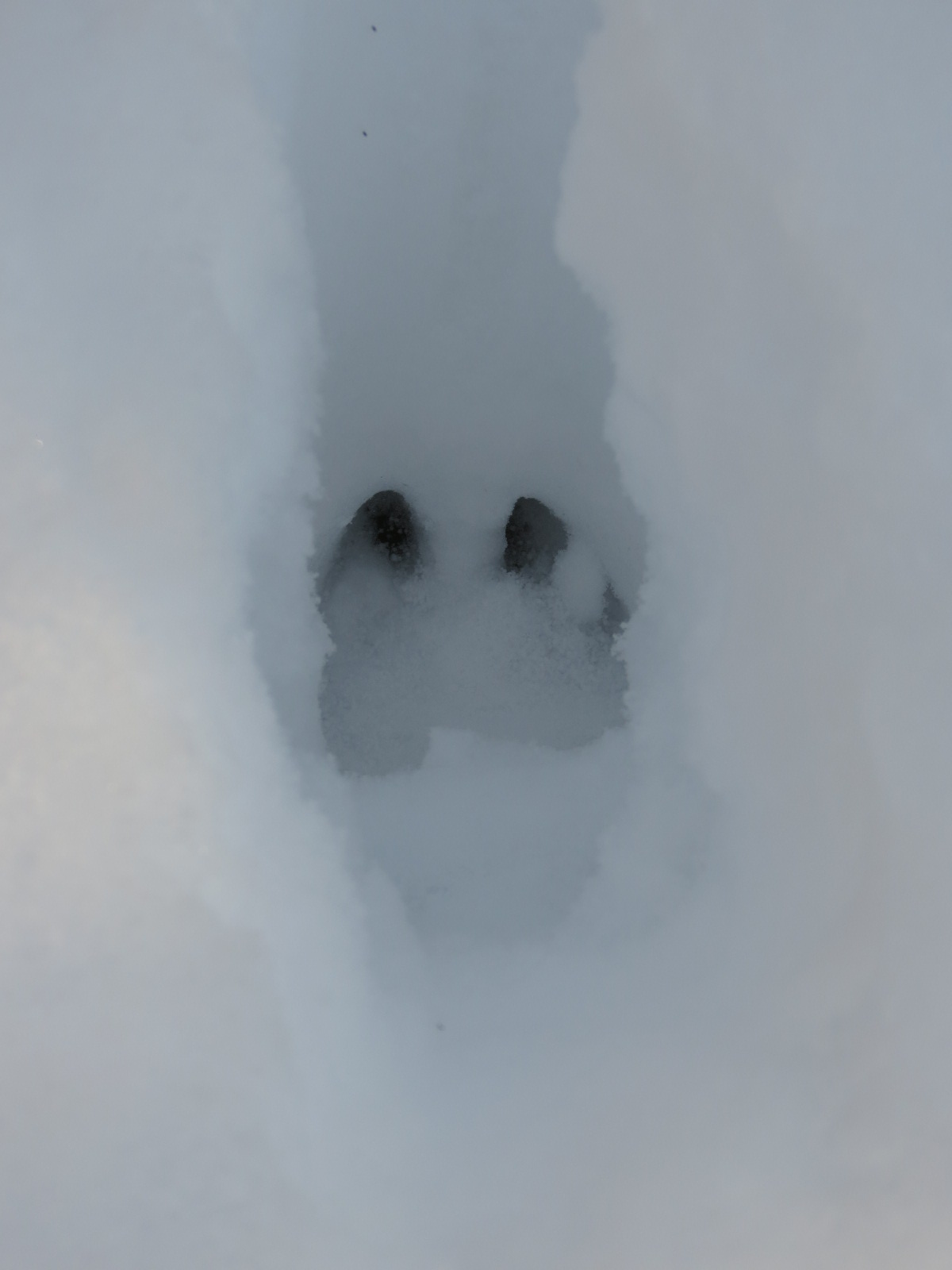 A Perfect Hike&nbsp;Today